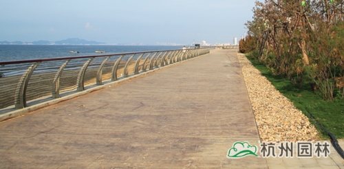 电竞比赛押注app