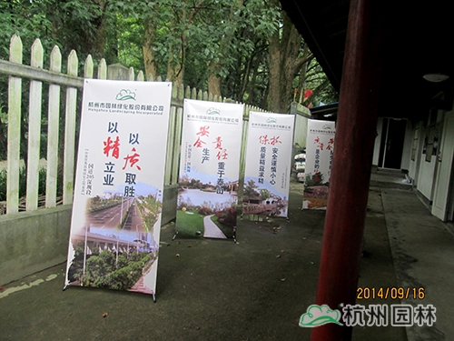 电竞比赛押注app