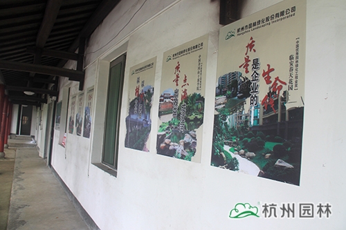 电竞比赛押注app