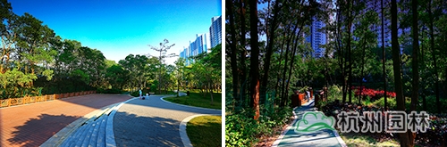 电竞比赛押注app