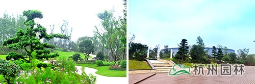 电竞比赛押注app