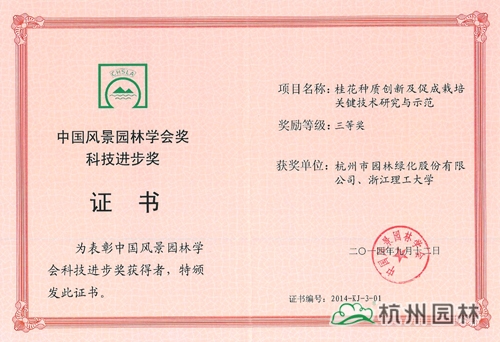 电竞比赛押注app