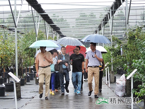 电竞比赛押注app