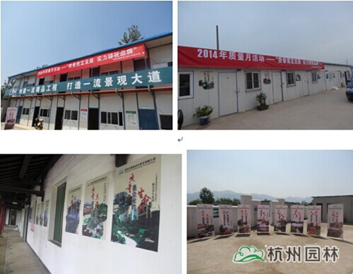 电竞比赛押注app