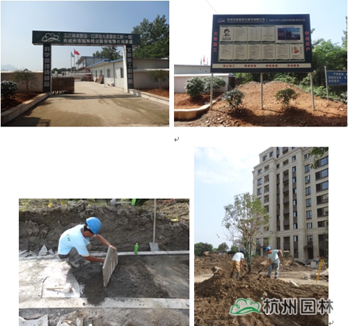 电竞比赛押注app