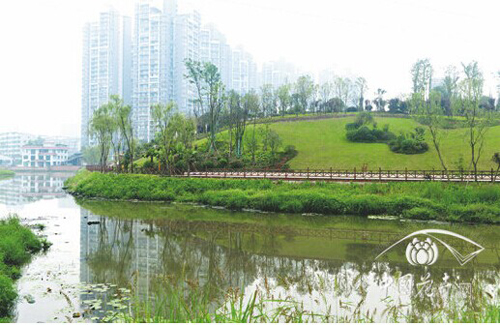 电竞比赛押注app