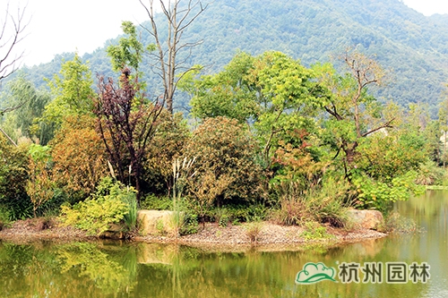 电竞比赛押注app