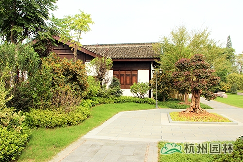 电竞比赛押注app