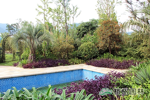 电竞比赛押注app