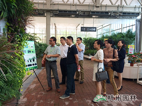 电竞比赛押注app