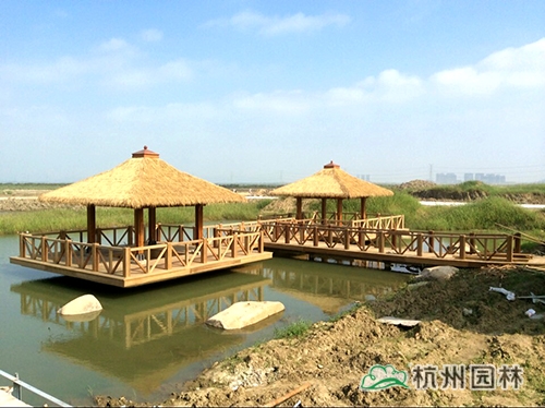 电竞比赛押注app