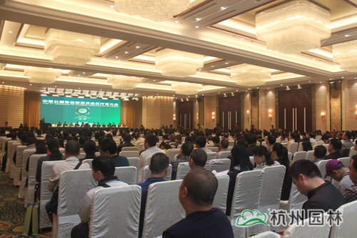 电竞比赛押注app