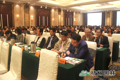 电竞比赛押注app