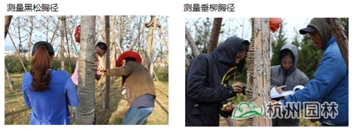 电竞比赛押注app