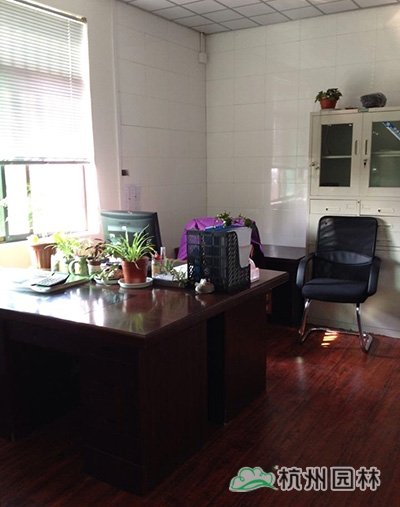 电竞比赛押注app