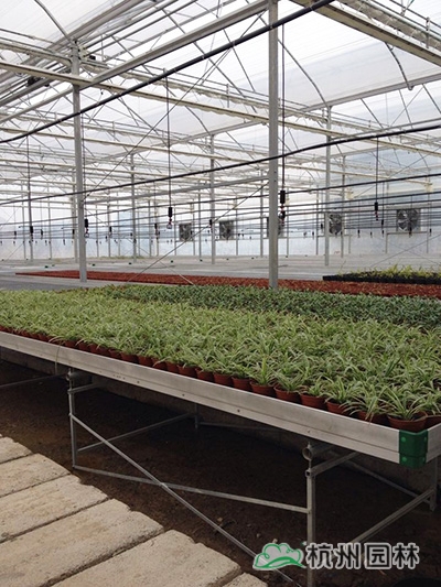 电竞比赛押注app