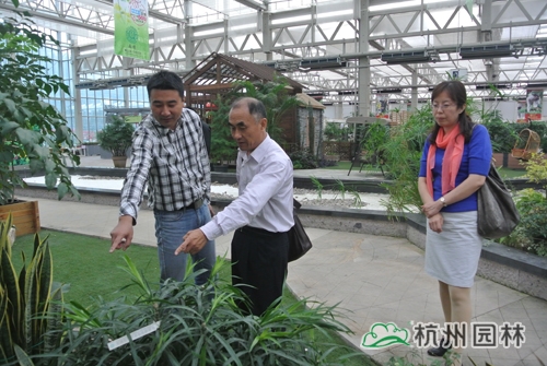 电竞比赛押注app