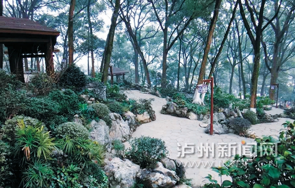 电竞比赛押注app