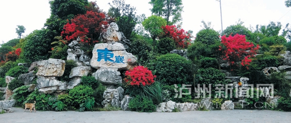 电竞比赛押注app