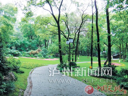 电竞比赛押注app