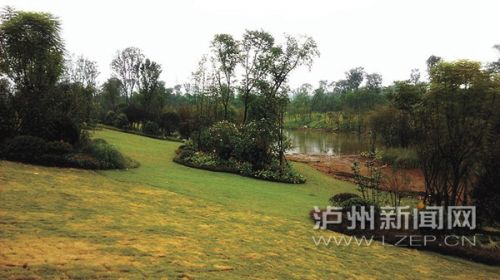 电竞比赛押注app