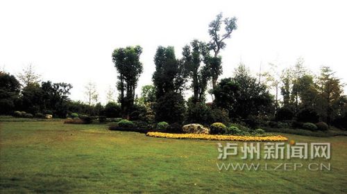 电竞比赛押注app