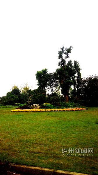 电竞比赛押注app