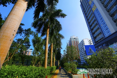 电竞比赛押注app