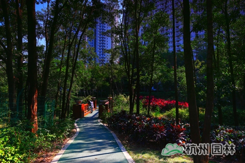 电竞比赛押注app