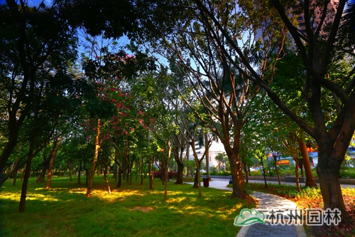 电竞比赛押注app