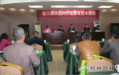 电竞比赛押注app