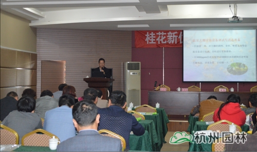 电竞比赛押注app