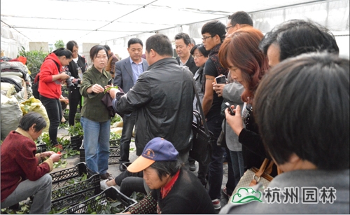 电竞比赛押注app