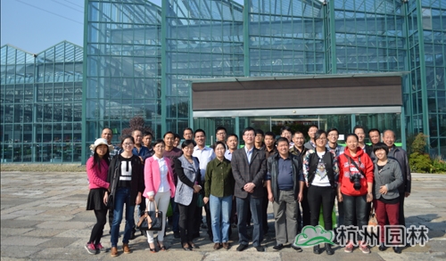 电竞比赛押注app