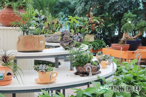 电竞比赛押注app