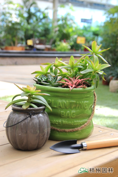 电竞比赛押注app