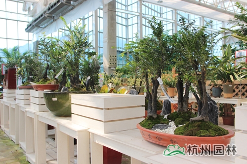 电竞比赛押注app