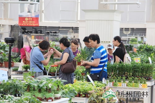 电竞比赛押注app