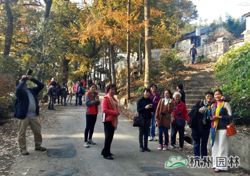 电竞比赛押注app