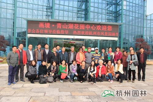 电竞比赛押注app