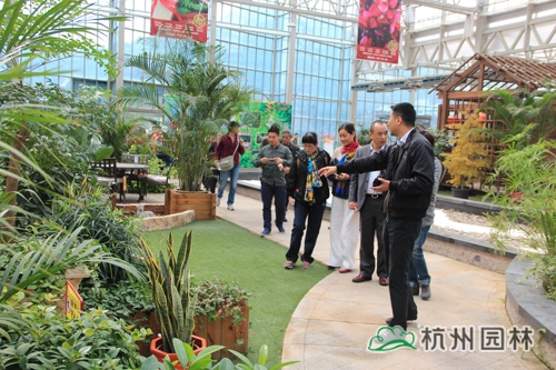 电竞比赛押注app