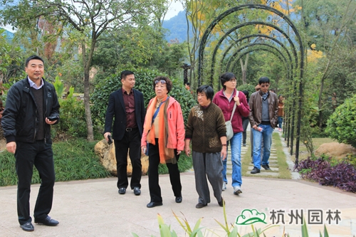 电竞比赛押注app