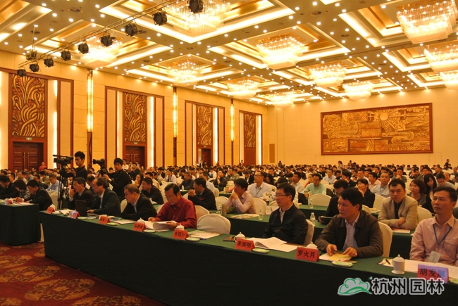 电竞比赛押注app