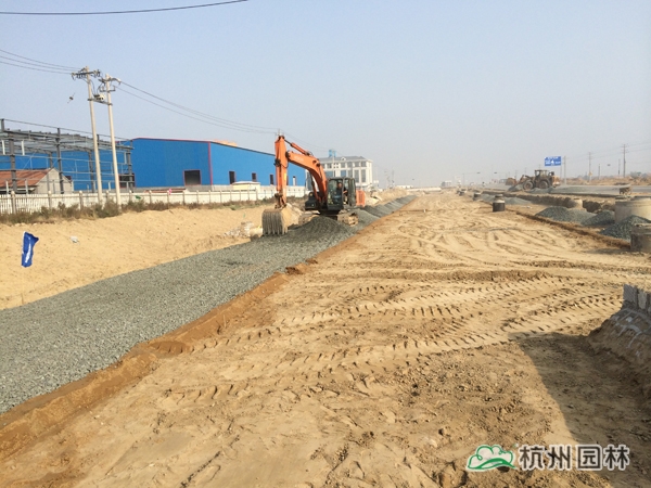 电竞比赛押注app