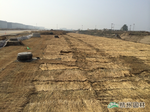 电竞比赛押注app