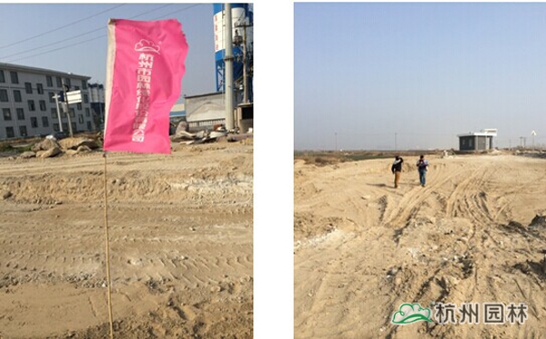 电竞比赛押注app