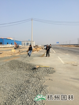 电竞比赛押注app