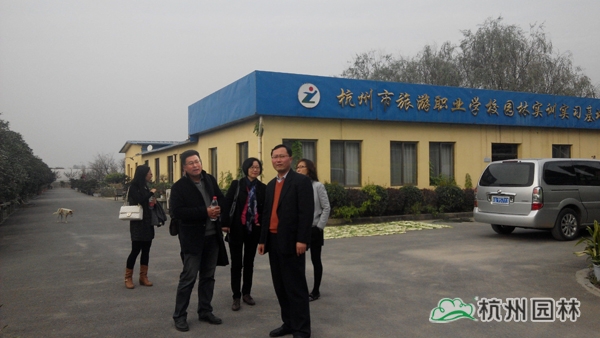 电竞比赛押注app