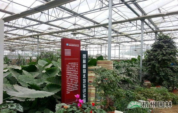 电竞比赛押注app