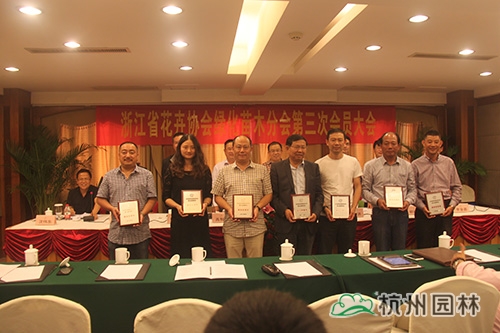 电竞比赛押注app